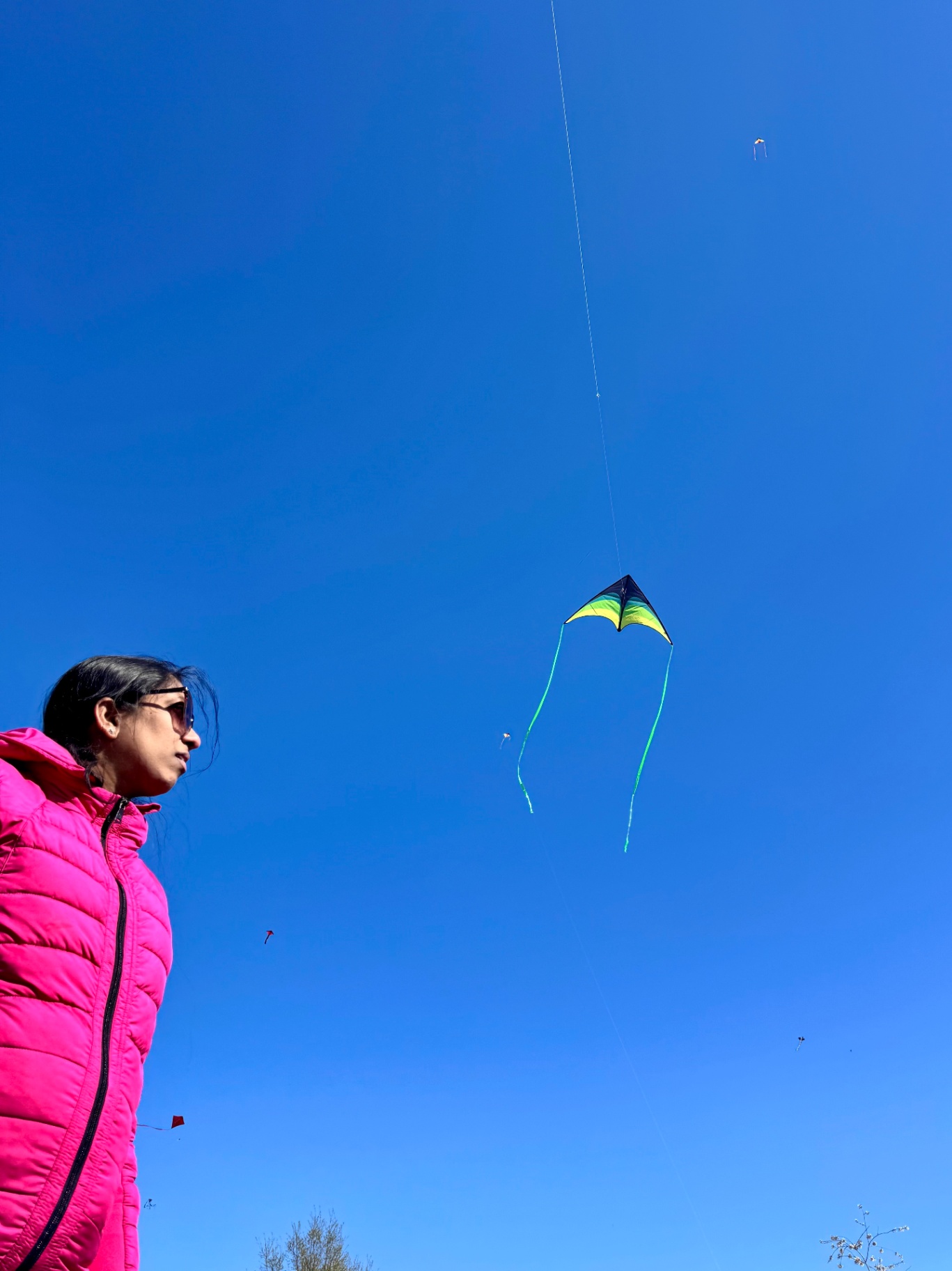 Kite against blue sky